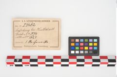Etikett zu Bronzerippenziste (NHMW-PRAE-025462)